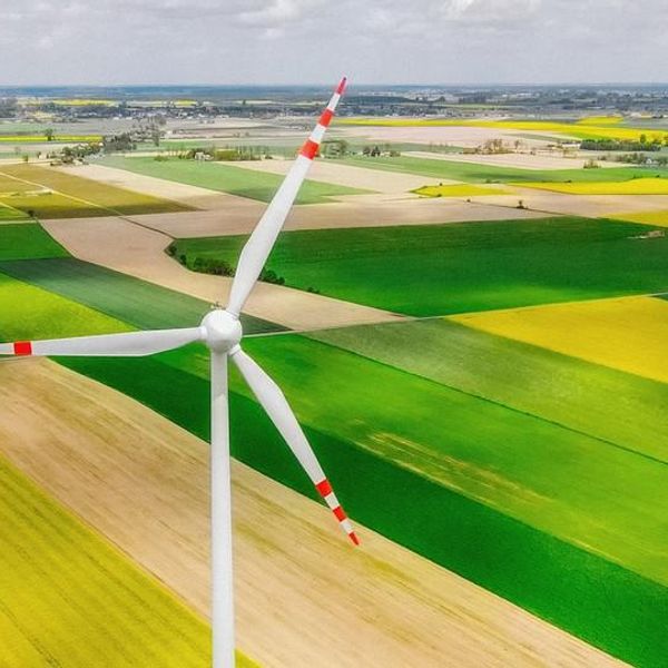 Yes, We Really Can Save The Earth (And Here’s Proof)