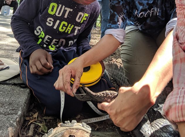 diversity in the outdoors