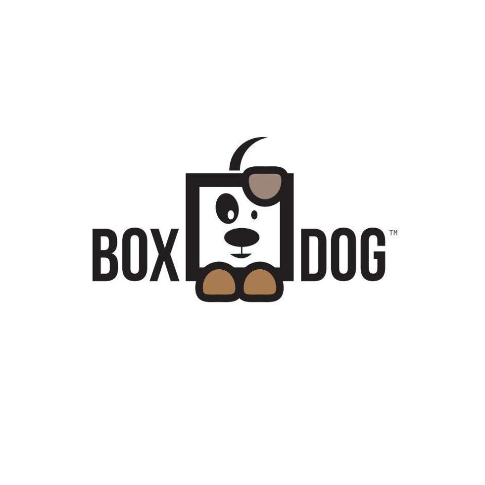 Box Dog Box Cat