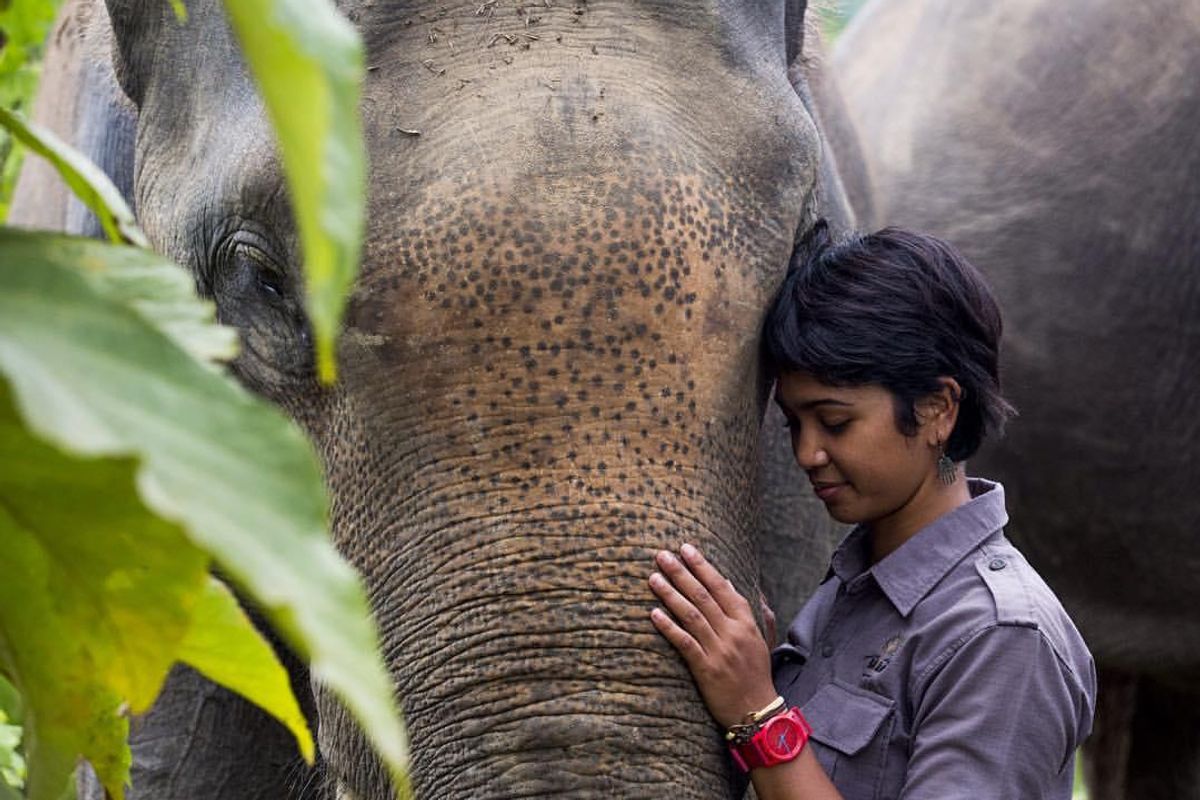 Why this woman created an organization to protect an Indonesia ecosystem