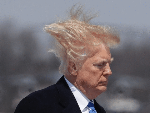 Trump Just Admitted To Campaign Finance Grift, NBD