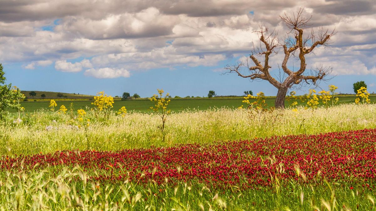 Il lockdown almeno ha spinto gli italiani alla scoperta dei parchi nazionali