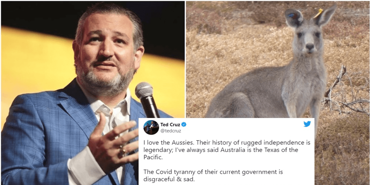 Ted Cruz tried to lecture Australia on vaccinations. It didn't end well for him. - Vimarsana News