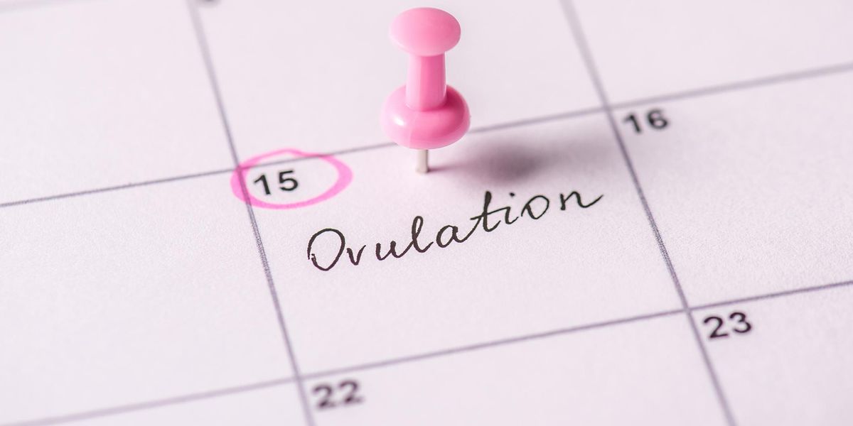 So, I'm About To Trip You Out With 8 Things That Happen When You Ovulate