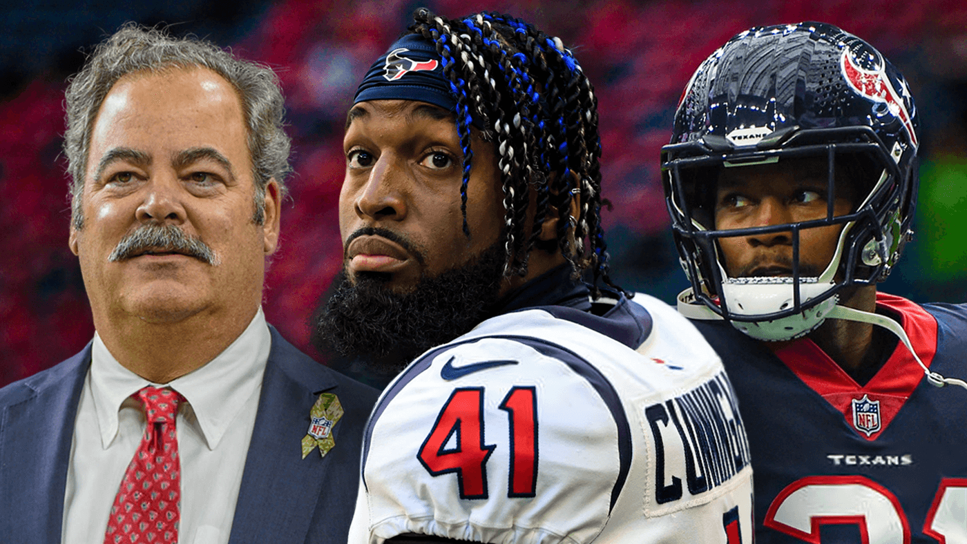 Texans Cal McNair, Zach Cunningham, David Johnson