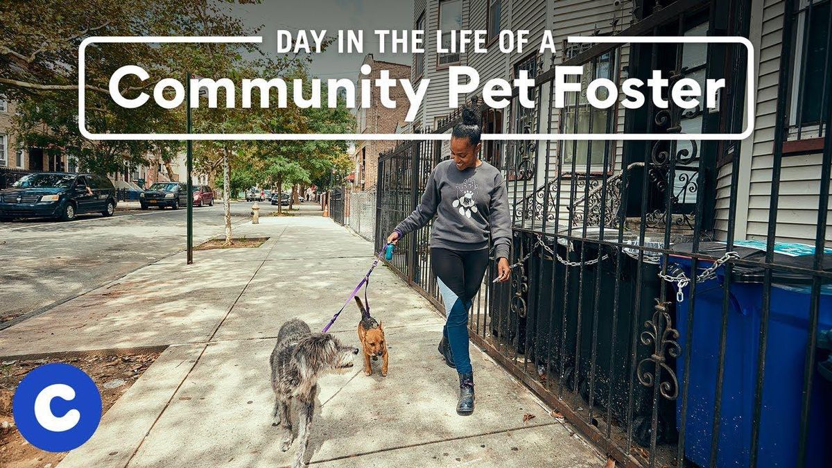 She created a network of neighbors to ensure no one loses their pets due to hardship