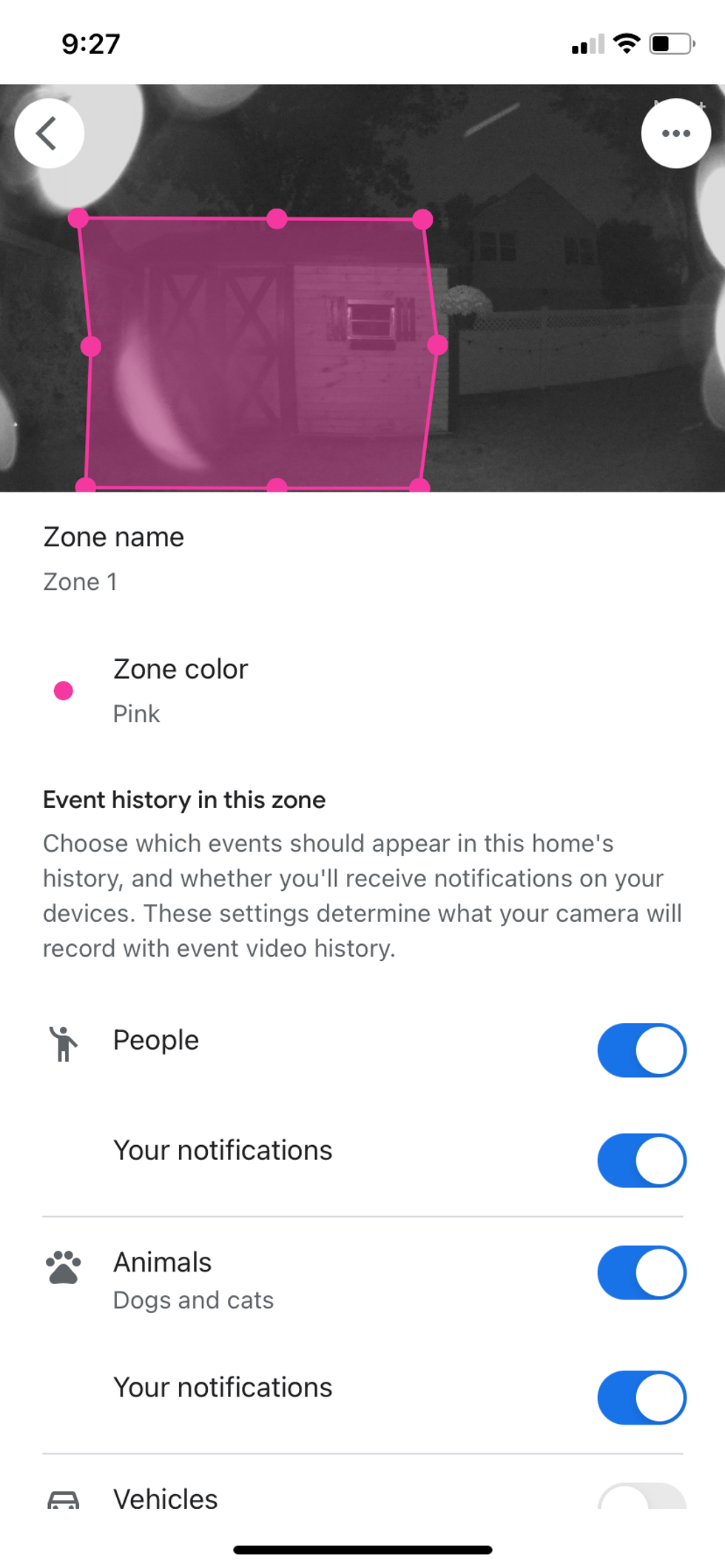 Google Home app for setting up zones and custom motion detection