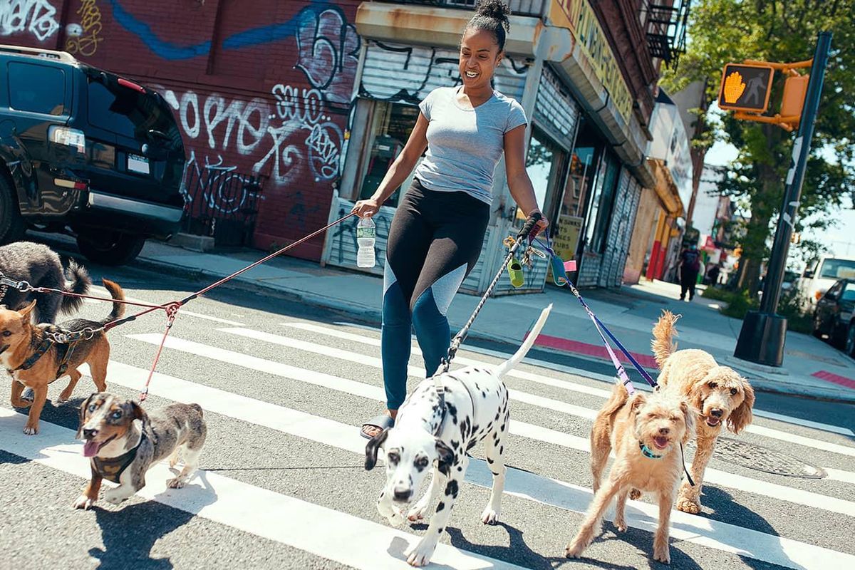 She created a network of neighbors to ensure no one loses their pets due to hardship