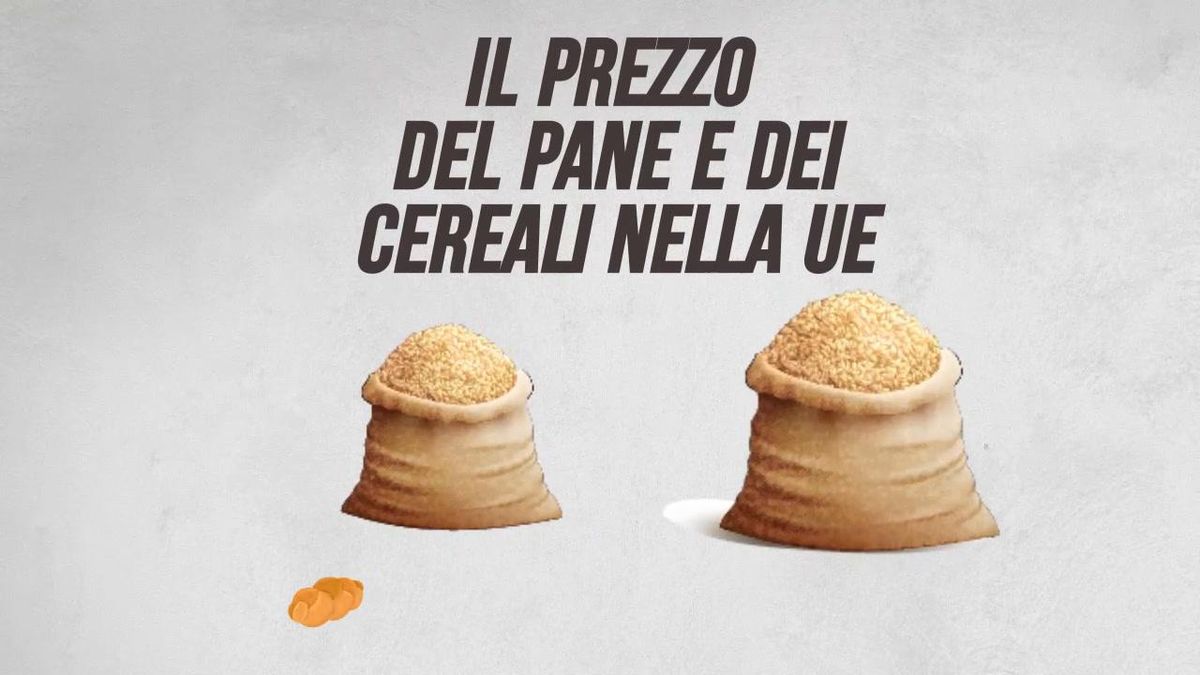 Il prezzo del pane e dei cereali nella Ue