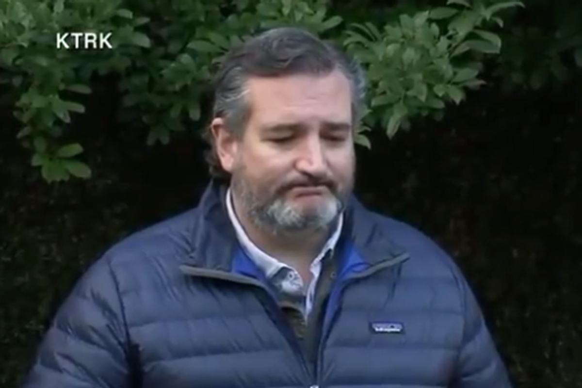 Ted Cruz OUTRAGED Elon Musk 'Looted' For Taxes Like Some Kind Of Middle Class Schlub