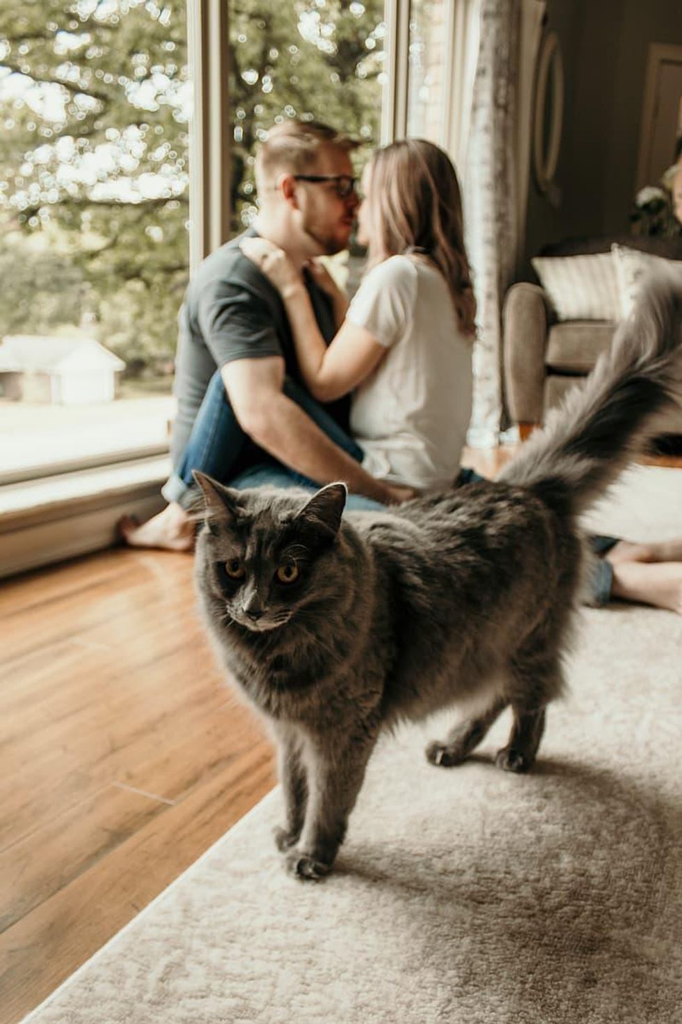 Use Our Cat Lovers Dating App To Meet Other Cat People Like You