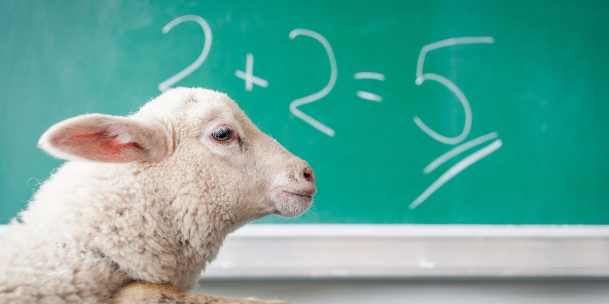 People Break Down The Stupidest Thing They Ever Did As A Kid