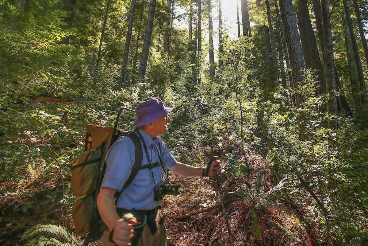 50 years ago, a Californian saved 70,000 acres of redwoods. Now he wants to photograph the park he helped preserve.