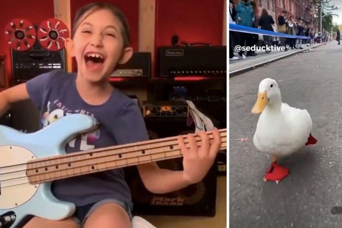 happy, joy, duck, music