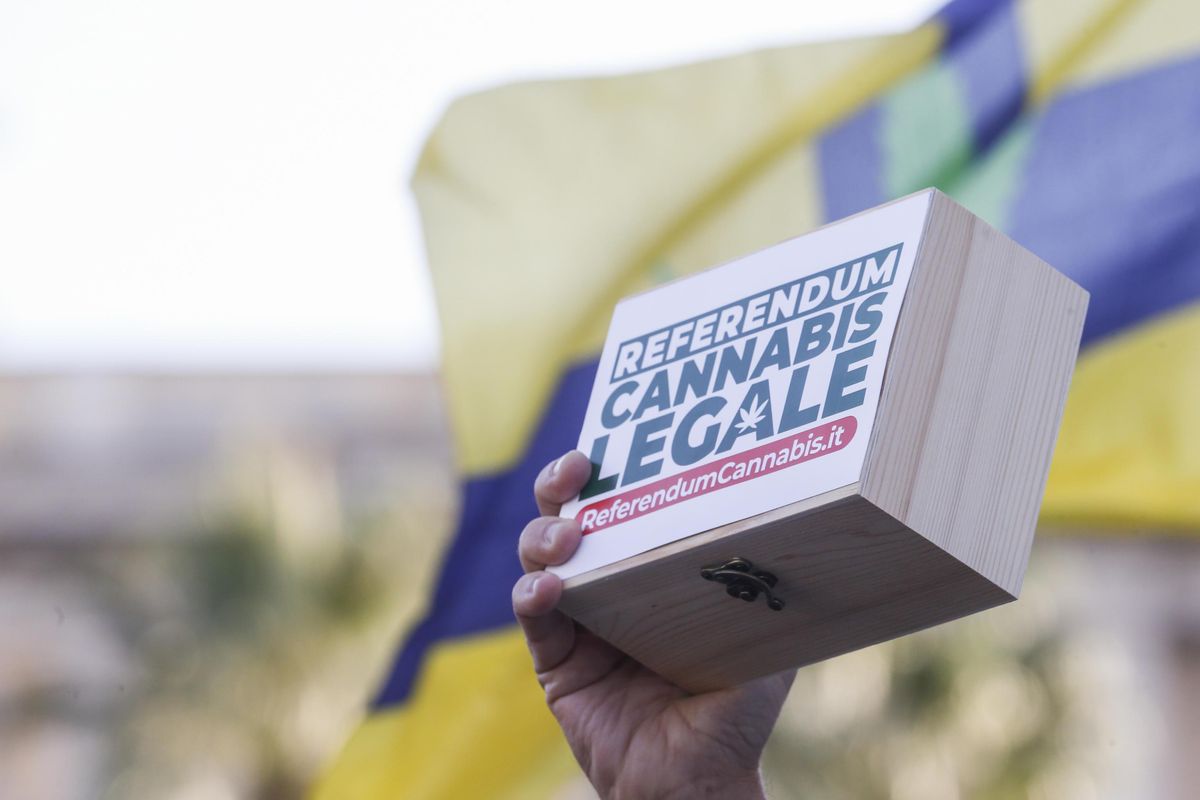 Il referendum sulla cannabis legale vuole sdoganare la droga dello stupro