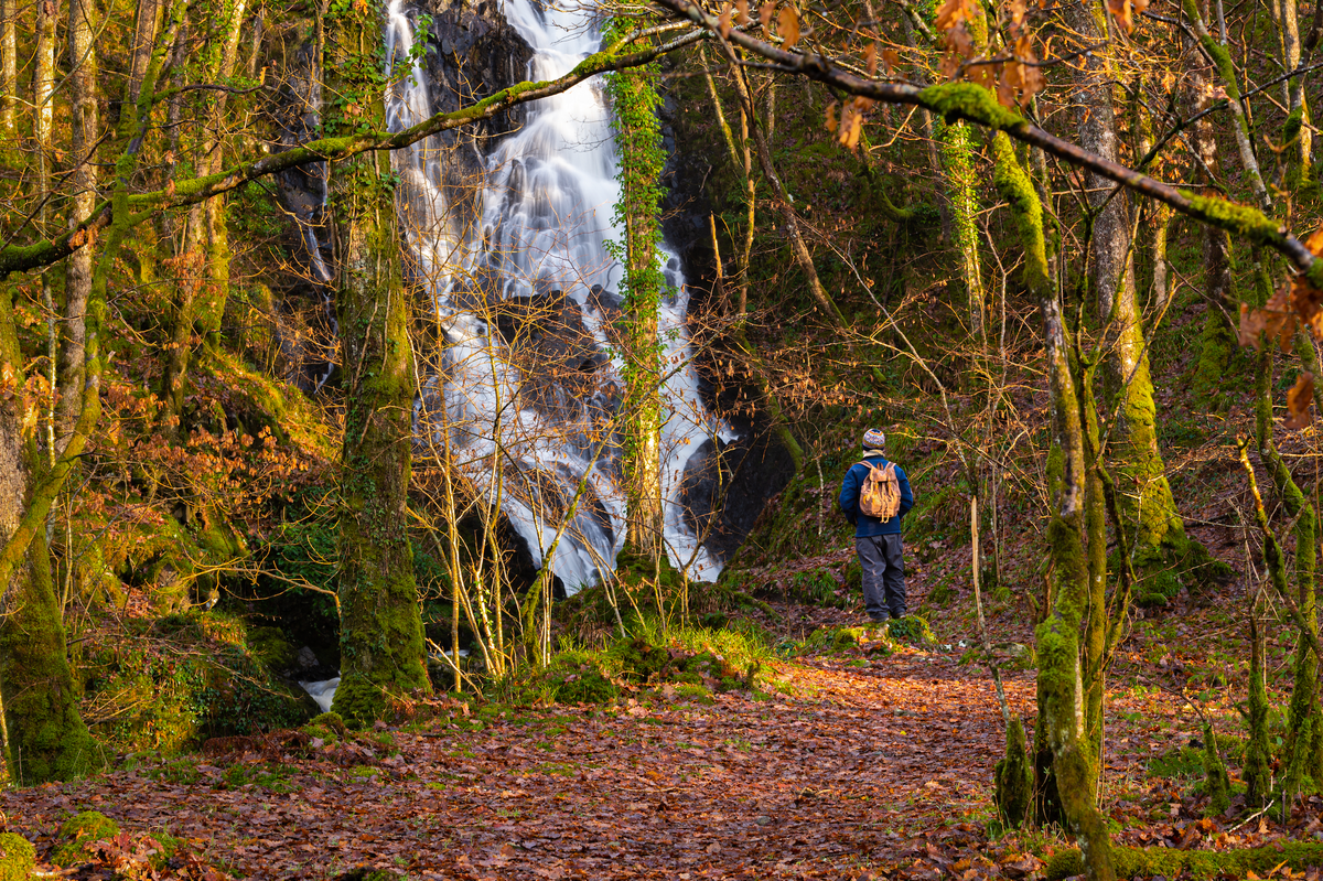 Foreste, boschi e terme: quando viaggiare è terapeutico