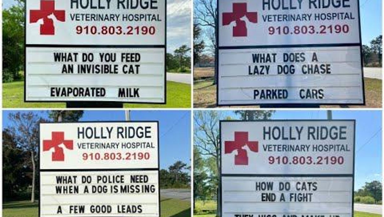 North Carolina vet keeps community laughing with weekly 'corny' pet joke signs
