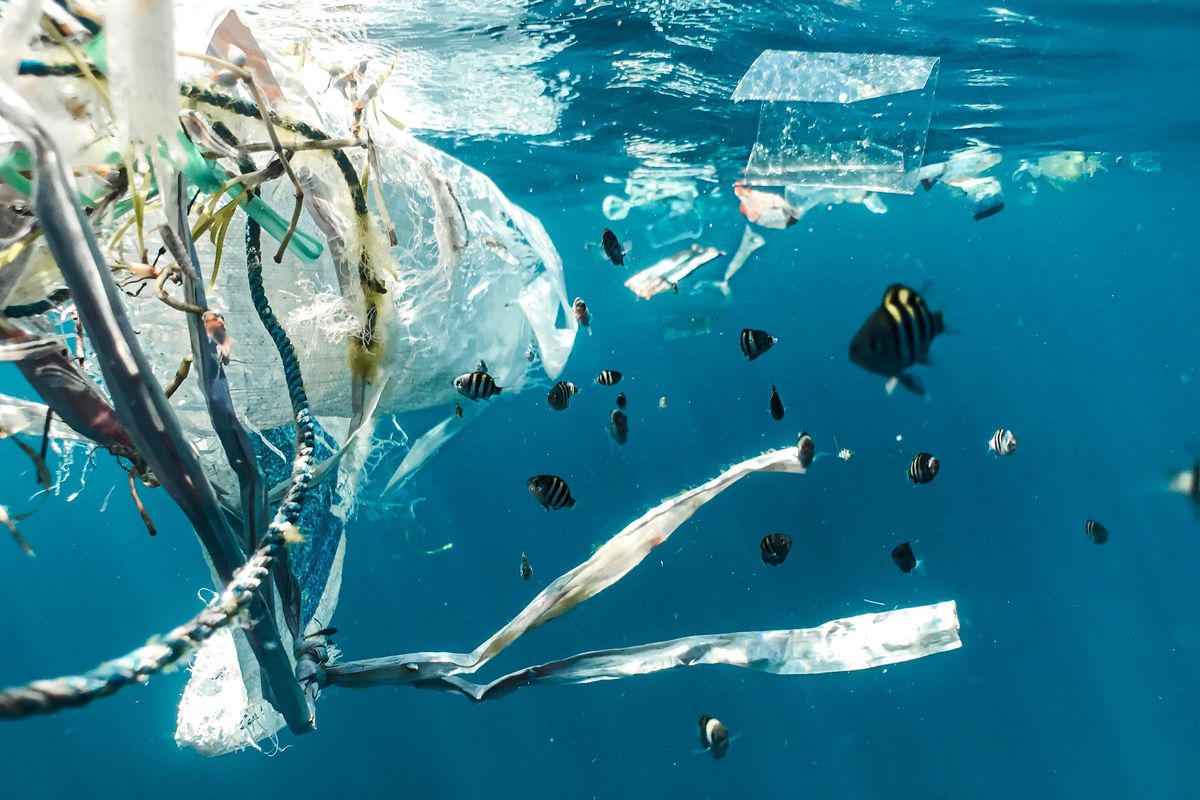 micro-plastics, ferrofluid, ocean cleanup, plastic pollution