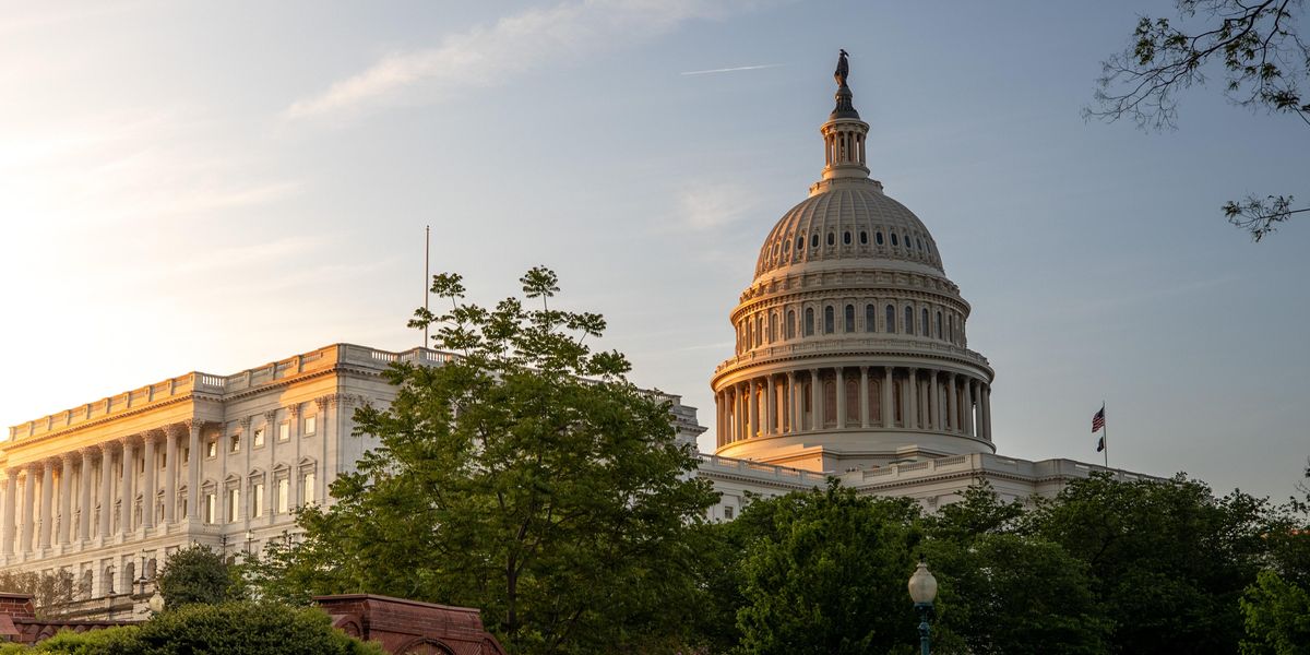 People Share The Absolute Biggest Threats To Democracy