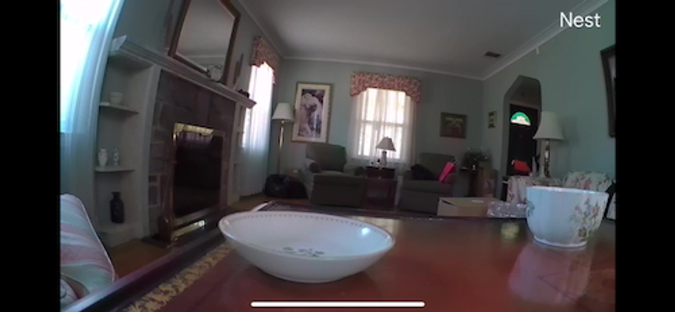 Day vision from Google Nest Cam 2nd gen in Google Home app