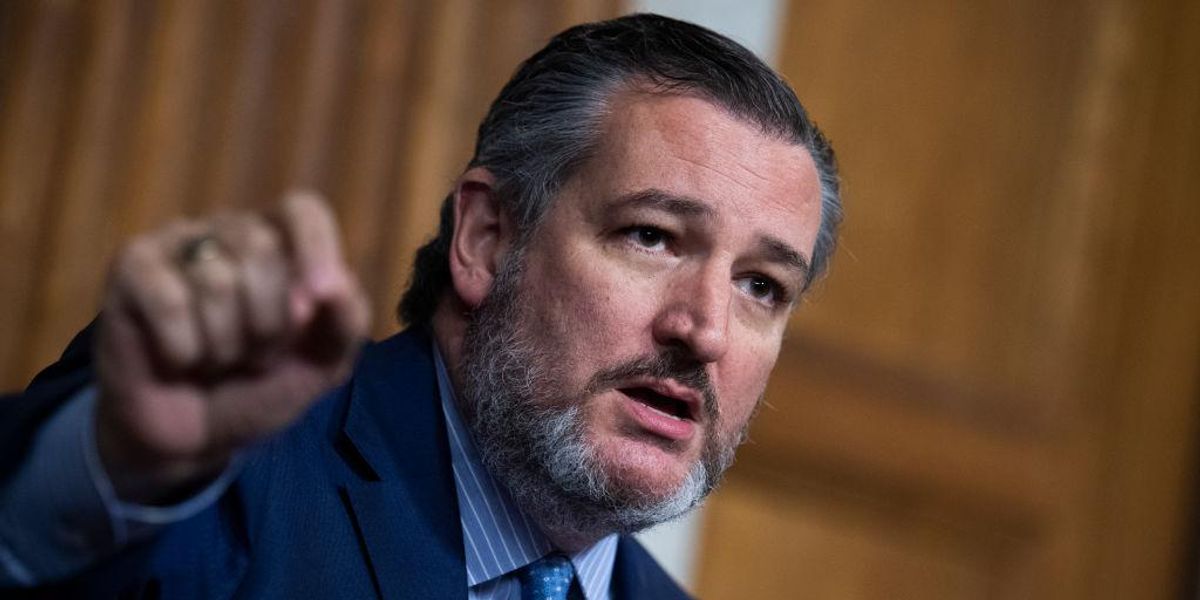 Republican Sen. Ted Cruz (Texas) lashed out at the Lincoln Project on Monday after one of the anti-Trump political action committee's co-founders mentioned the senator's children during a media attack.Cruz had apparently drawn the ire of the liberal super PAC, made up of former Republicans, after cr...