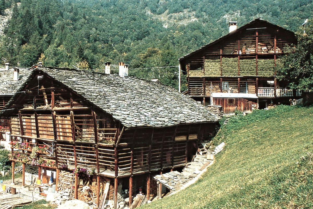 legno storia costruzioni