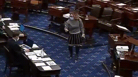 Krysten Sinema's $$$ Security Detail Just Tulsi Gabbard's Sister ... We're Sure That's Legit.