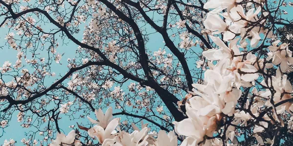 People Share Their All-Time Favorite Random Facts