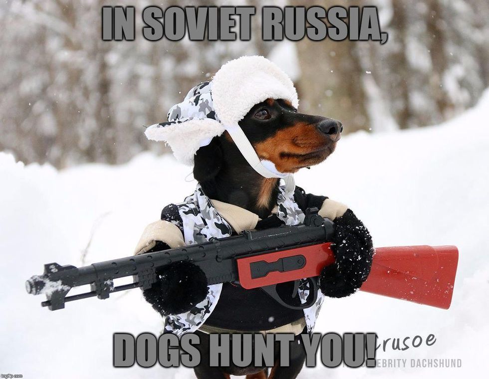 In Soviet Russia, dogs hunt you. 