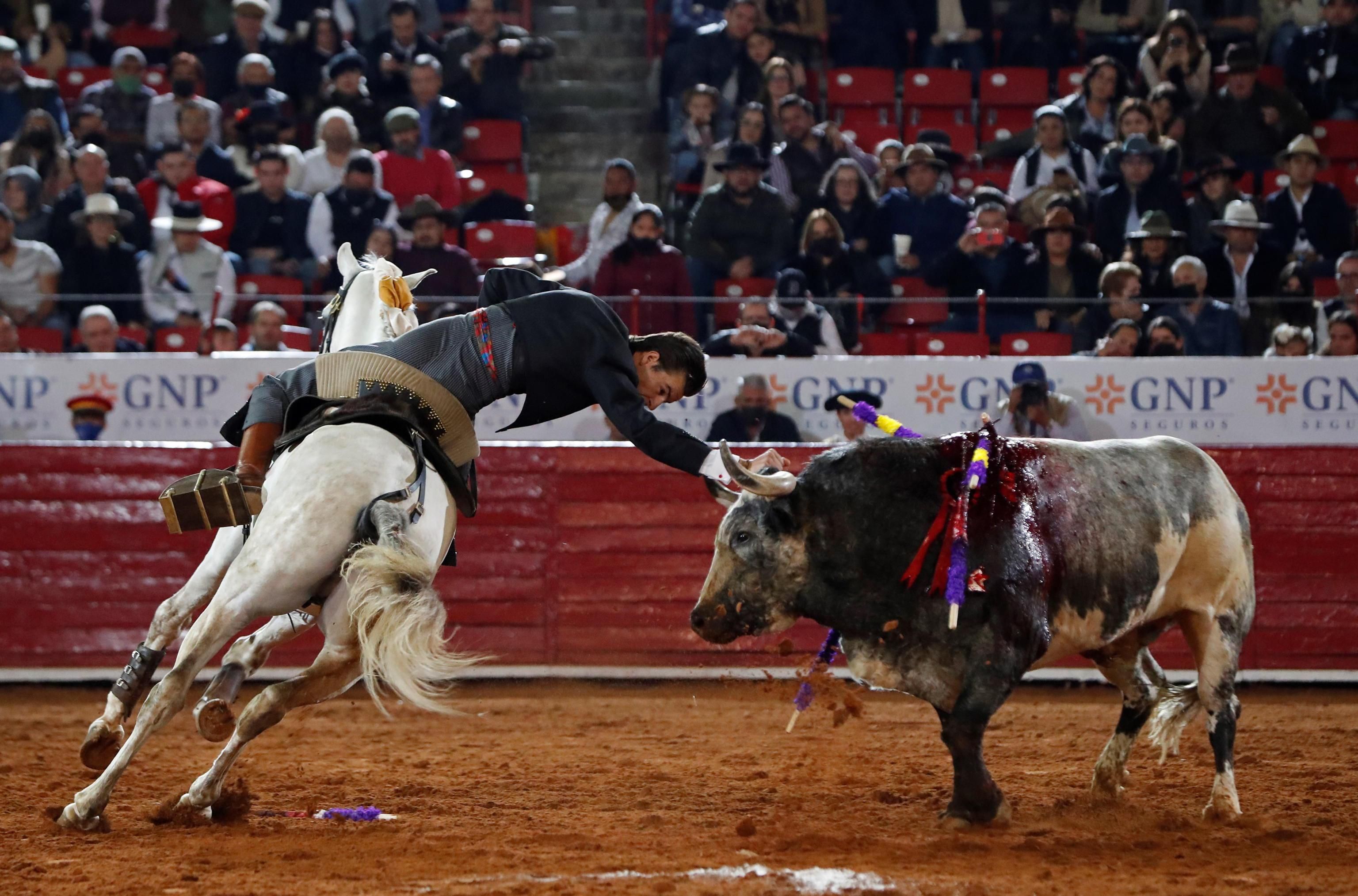 Tutti desiderano una vittima da immolare