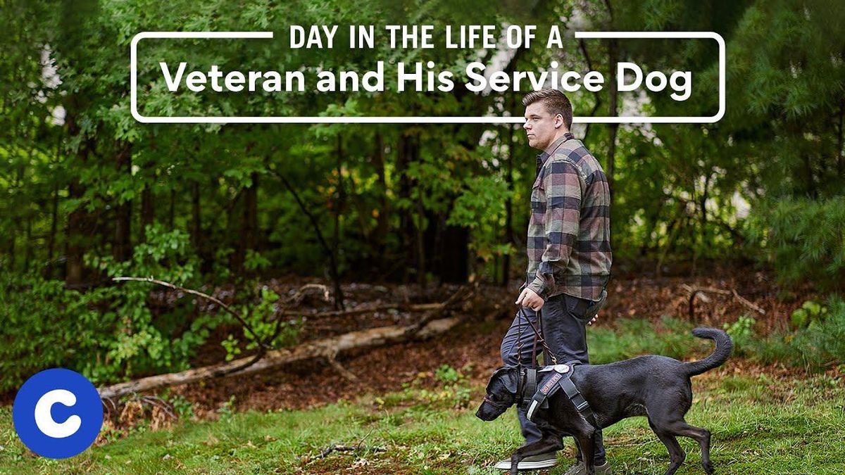 'He saved my life': Marine veteran shares how his life was transformed by service dog