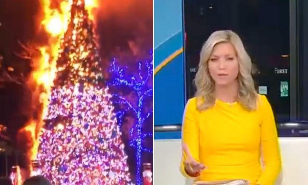 Fox News Host Mocked After Claiming Christmas Tree Is a Symbol of 'Jesus' and 'Hanukkah' in Bizarre Rant