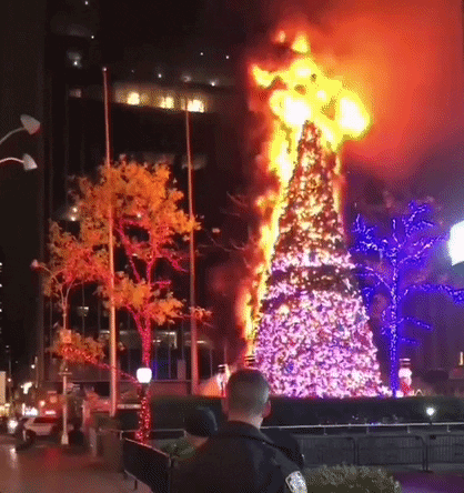 Checking In With Fox News's Hanukkah Freedom Tree Benghazi Disaster Coverage! DAY TWO!