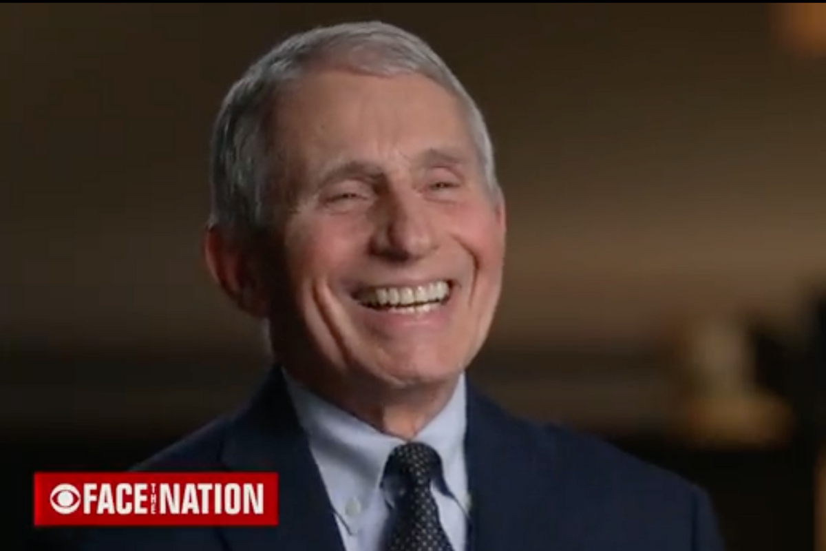 Let’s All Cherish The Moment When Dr. Fauci Mocked GOP Seditionist Ted Cruz On National TV