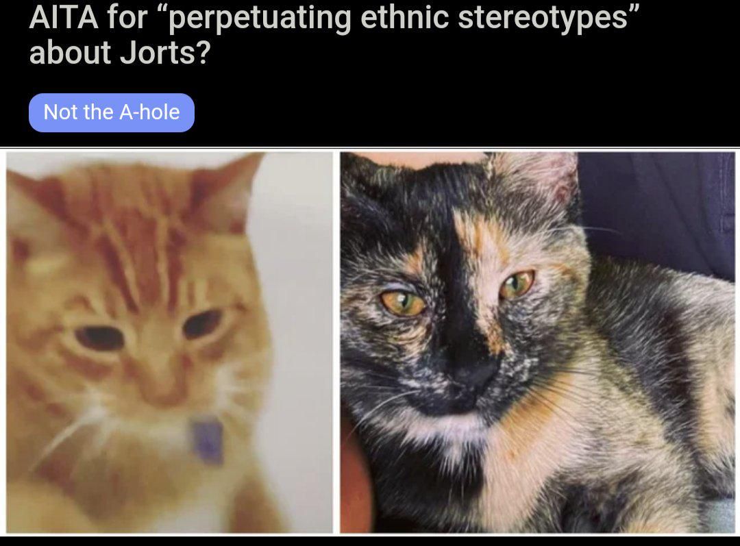 cats, jorts, AITA, Reddit