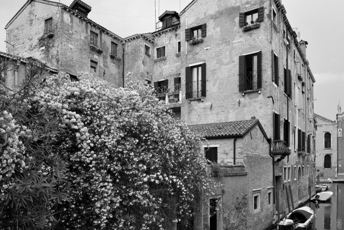 HyperVenezia a Palazzo Grassi