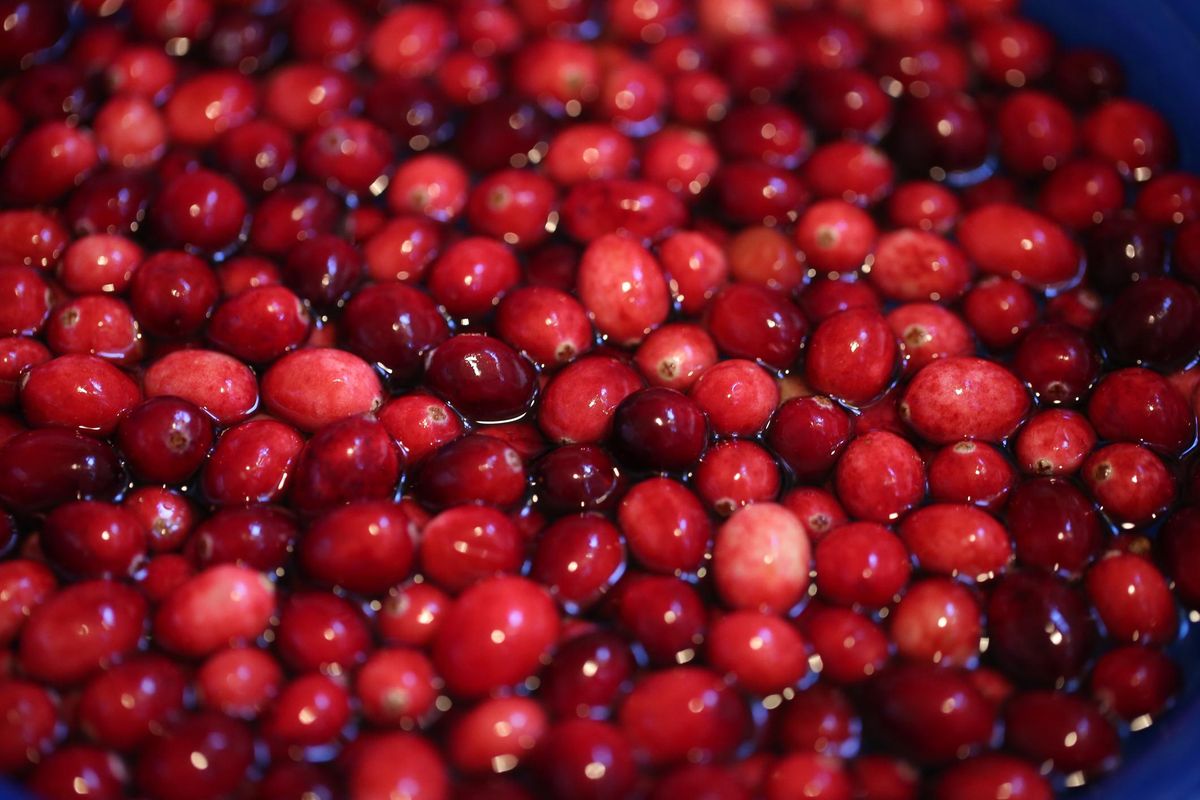 Cranberry Detox Water Recipe - xoNecole