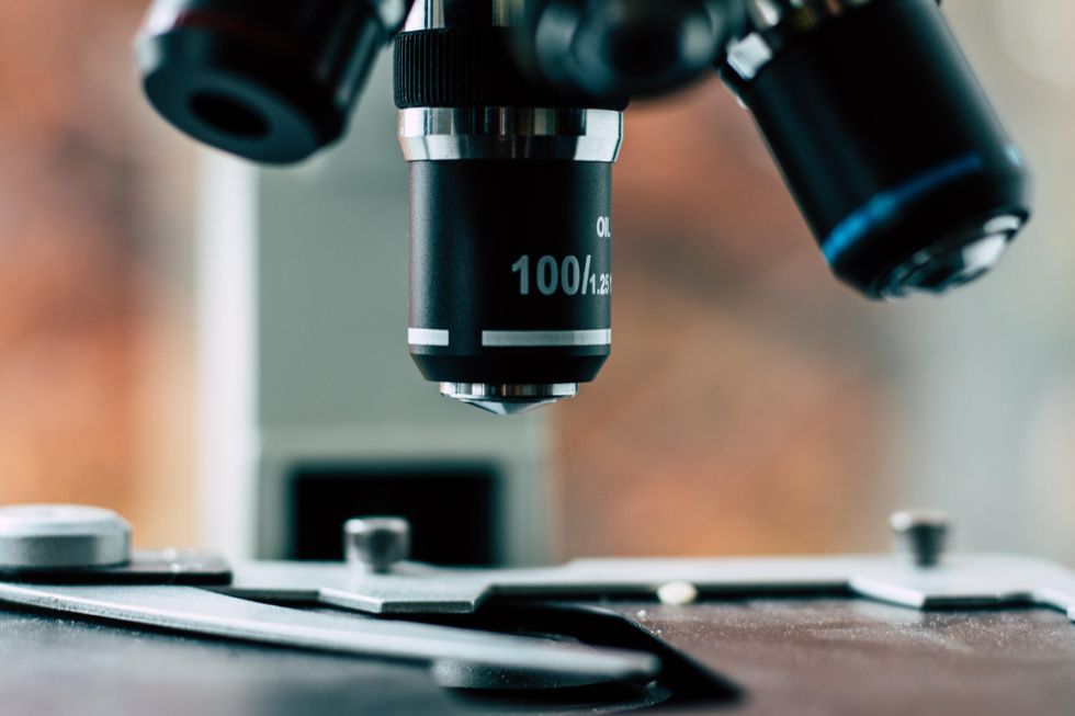 College student puts items under a microscope on TikTok, and it's hard to look away