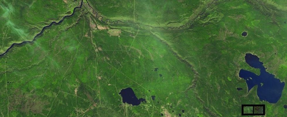 2016, forest, satellite images