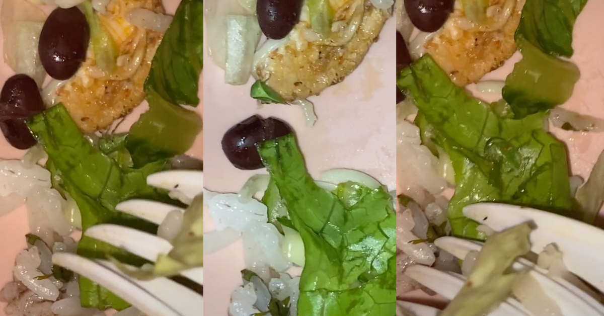 TikToker Calls Out Chipotle After Finding Bug Crawling Around In Take-Out Meal In Viral Video
