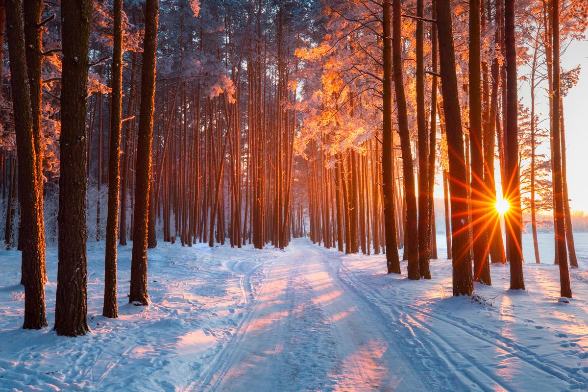 Il respiro dell’alba innevata ci riporta a casa