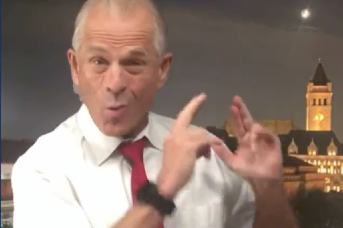 Trump Econ Loon Peter Navarro Threatens LOCK HER UPS For Dr. Fauci In Newsmax Rant