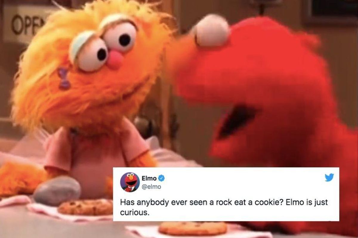 People are discovering Elmo's decades-long feud with his friend's pet rock and it's hilarious