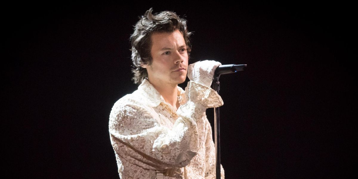 Harry Styles Fan Sues Venue for Alleged Injuries from Crowd Surge