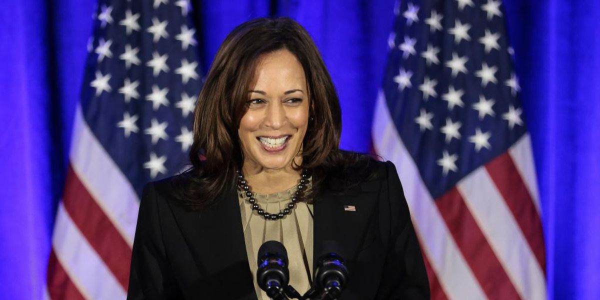 Vice President Kamala Harris praises GOP Rep. Liz Cheney: 'I applaud ...