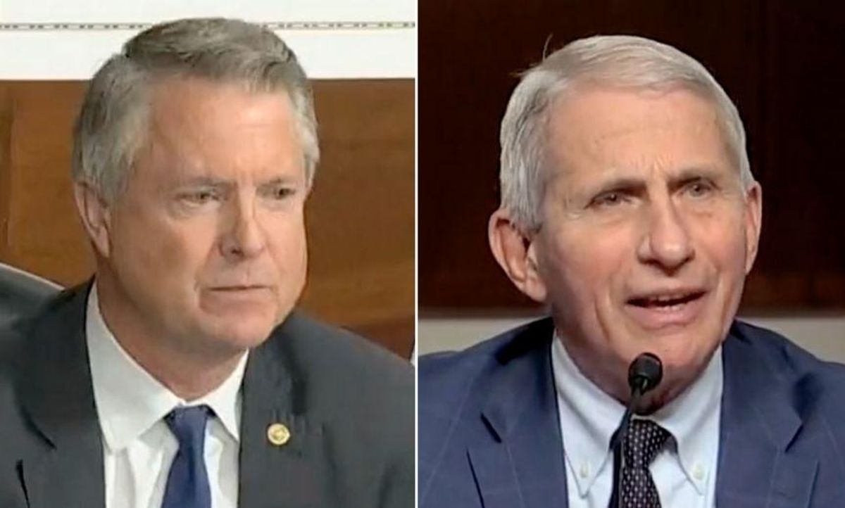 Fauci Says What We're All Thinking About GOP Senator During Epic Hot Mic Moment at Senate Hearing