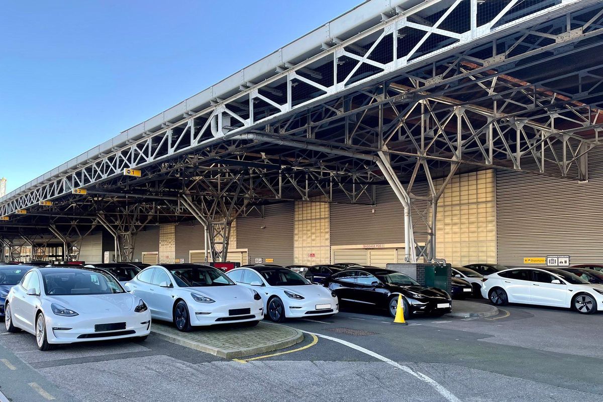 Elon Musk celebrates record quarter for Tesla