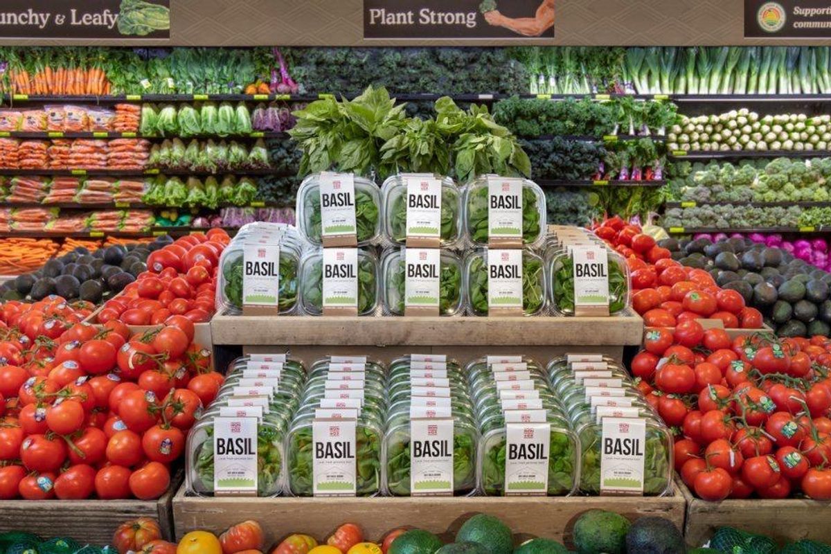 Silicon Valley farming startup Iron Ox to expand in Central Texas with 1 million square foot facility