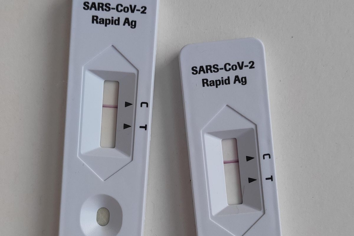 covid test, fake covid results