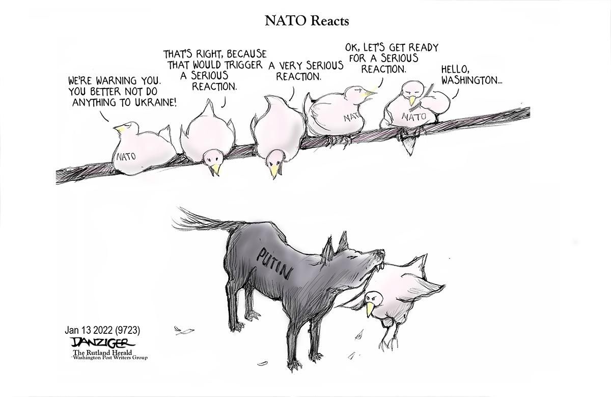 Danziger Draws